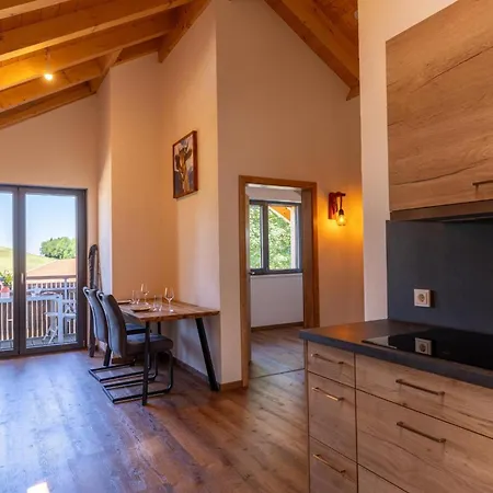 Alpennest Apartman Oy-Mittelberg